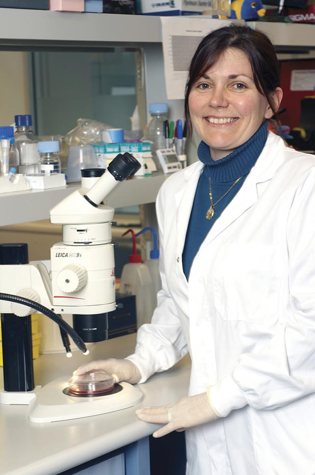 Dr Jenny Gunton, Garvan Institute of Medical Research